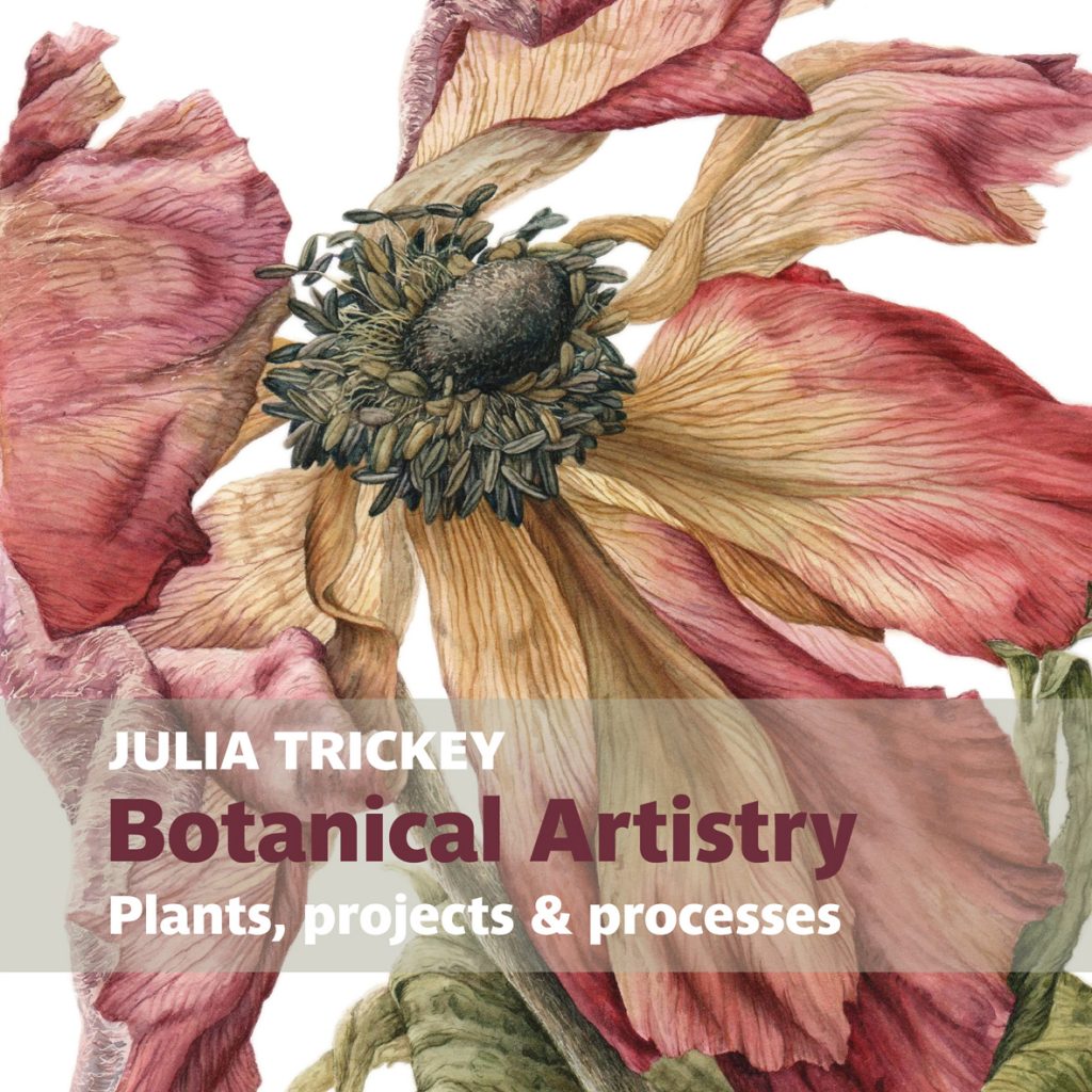 Cover Story learn how Julia Trickey created the artwork for the